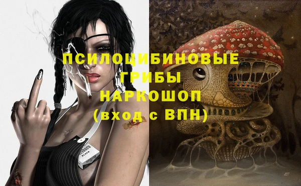 стаф Алзамай