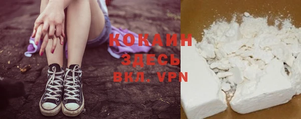apvp Алексин