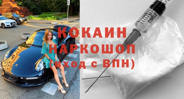 гидра Арсеньев