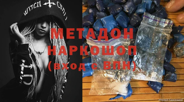 стаф Алзамай