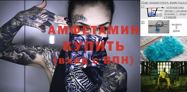 стаф Алзамай